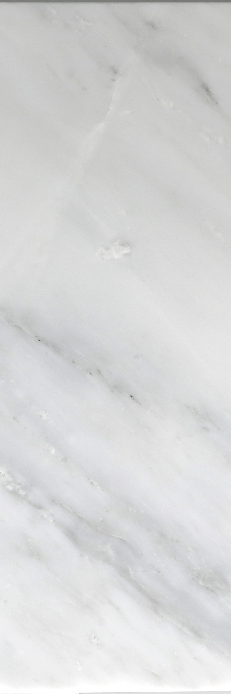 Eastern White