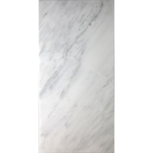 Eastern White