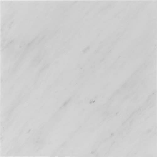 Eastern White