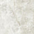 Taj Mahal Shell