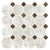 Taj Mahal Shell