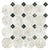 Taj Mahal Shell