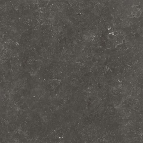 Fossil Black