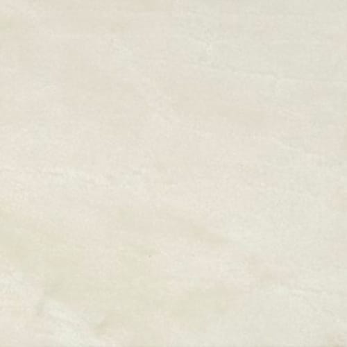 Carrara Gioia