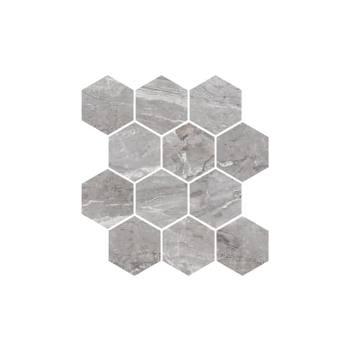 Oniciata Grey