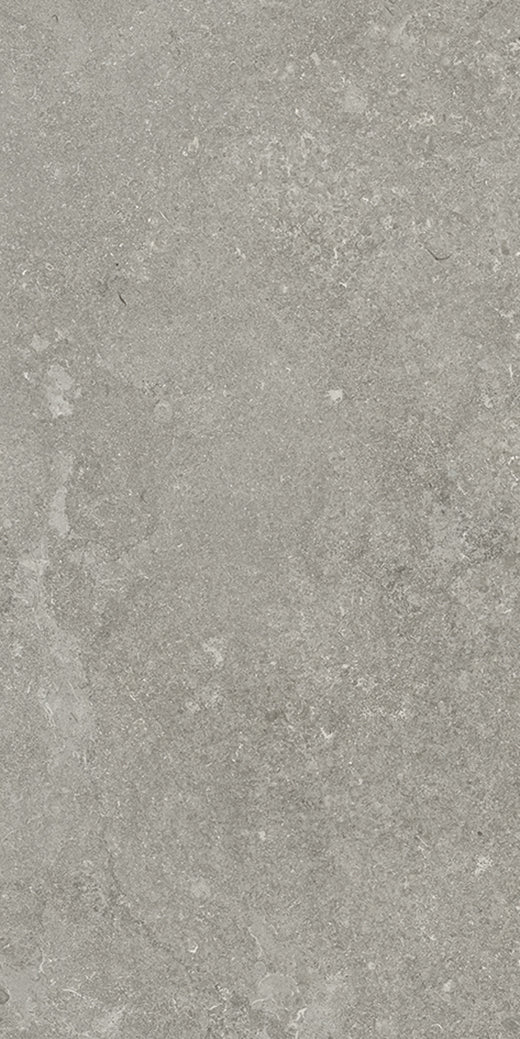 Fossil Cross-Cut