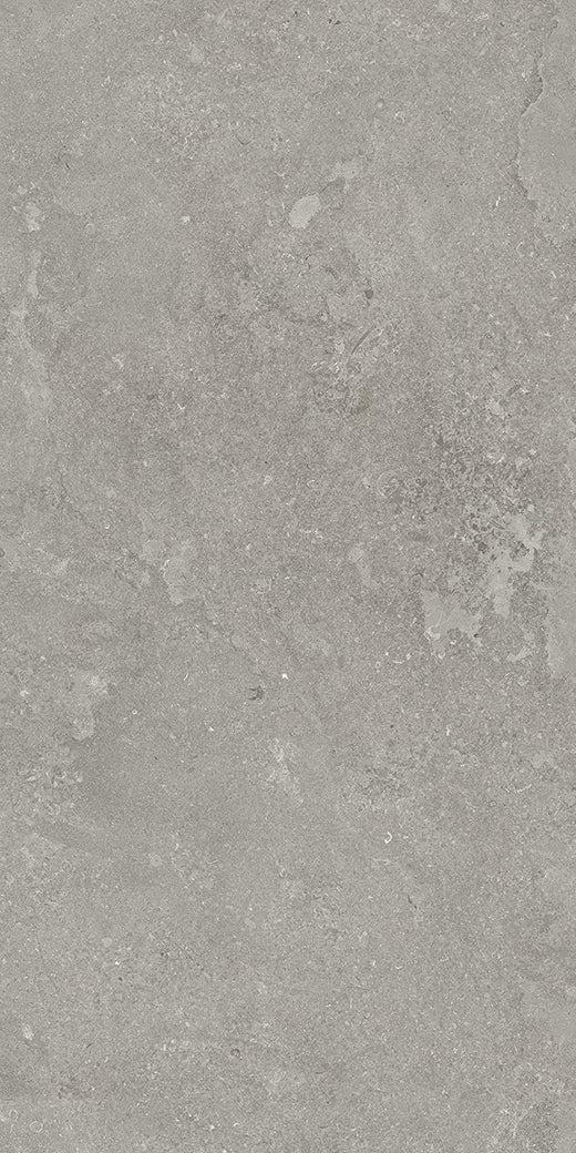 Fossil Cross-Cut