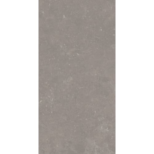 Atlas Gray