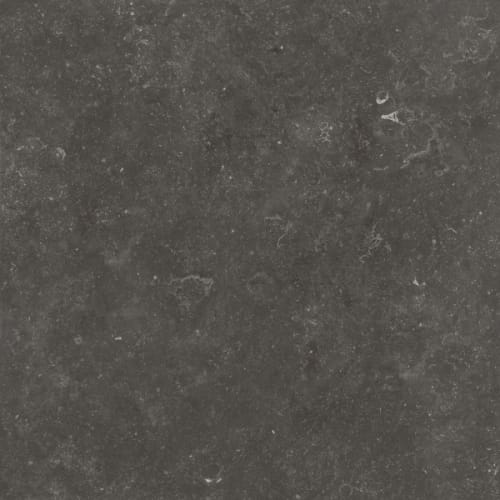 Fossil Black
