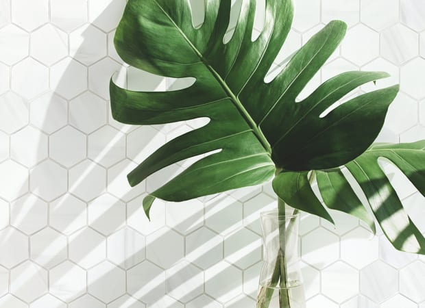 #sku_MATDOLOMO2HEXLTM