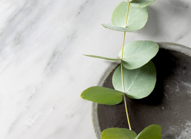 #sku_MATEAWHFF1224PO