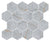 Blue Roma Hex