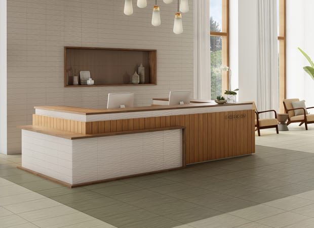 #sku_PTBOLNATREMOFF22