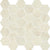 Avorio