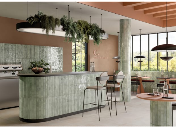 #sku_RONACPOZANZIFF21