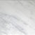Eastern White